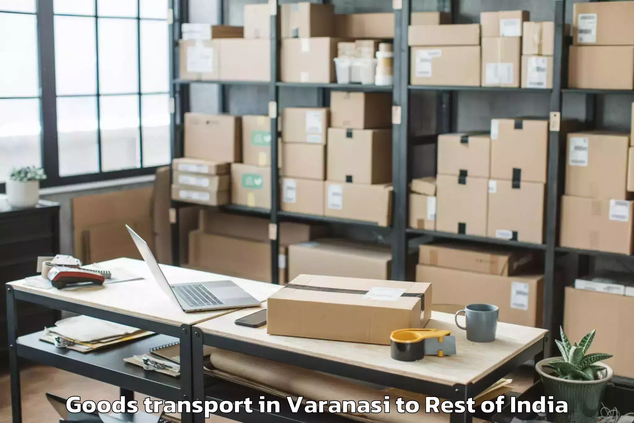 Trusted Varanasi to Vanasthali Goods Transport